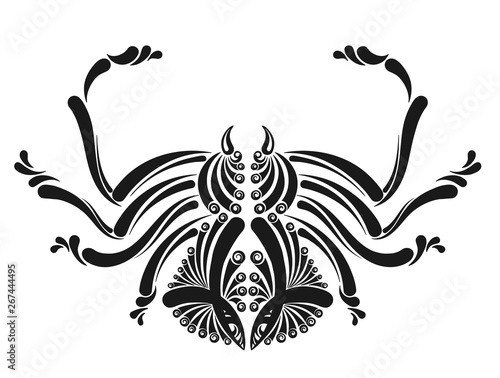 Spider decorative image