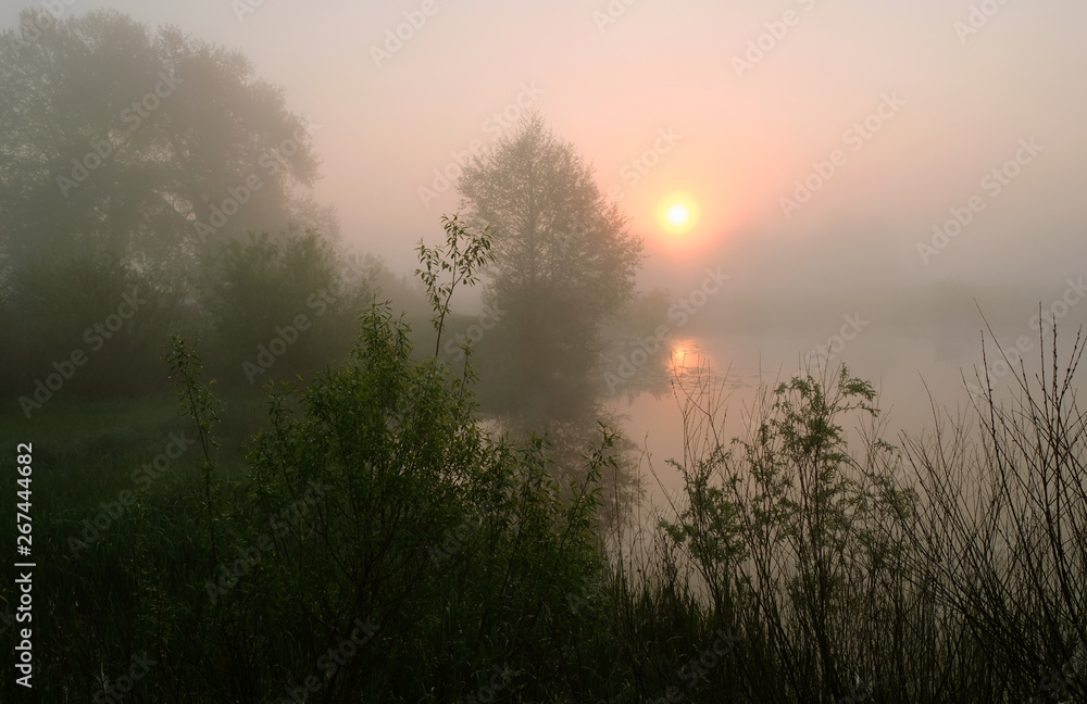 Fototapeta premium Foggy morning. Dawn outside the city. It will be a warm day.