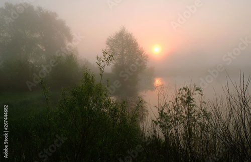 Foggy morning. Dawn outside the city. It will be a warm day. © Alina Stepanyuk