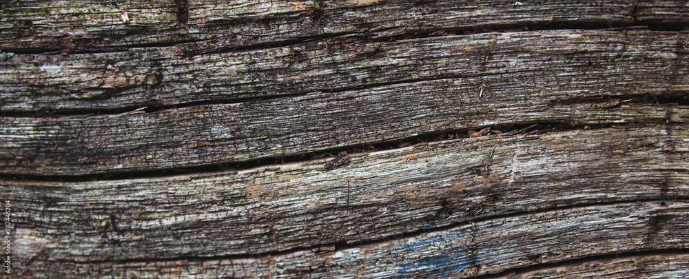 Close View Old Brown Tree Bark Background Stock Image, old wooden texture. Close View Old Brown Tree Bark Background Stock Image, old wooden texture.