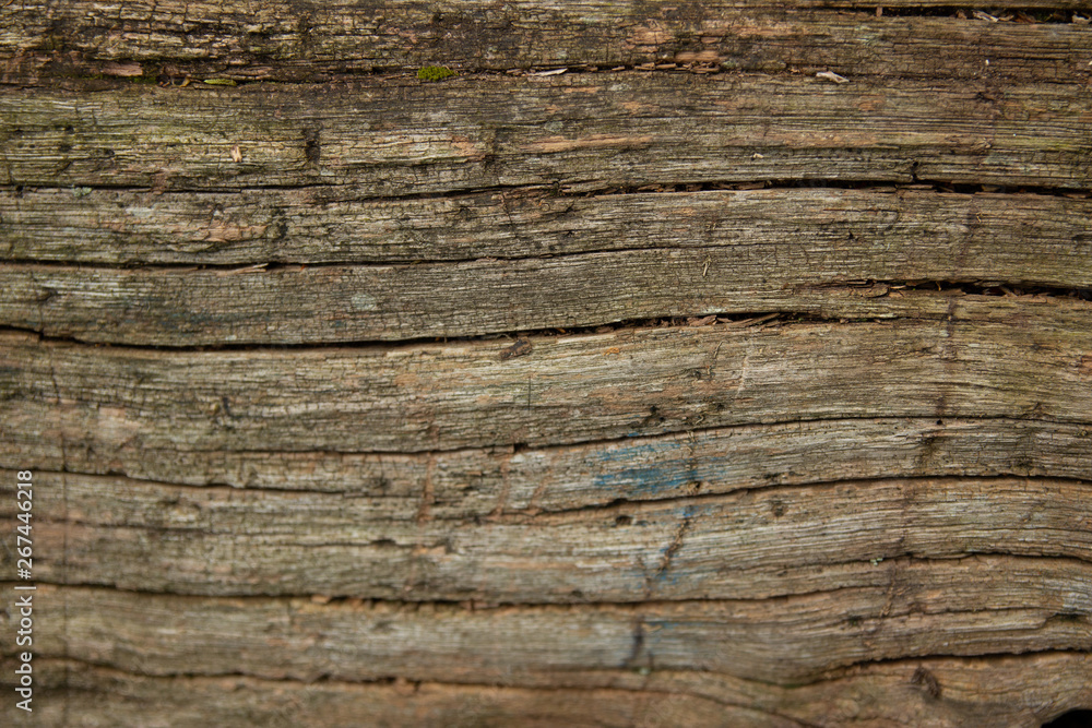 Close View Old Brown Tree Bark Background Stock Image, old wooden texture. Close View Old Brown Tree Bark Background Stock Image, old wooden texture.