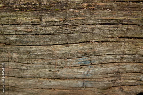 Close View Old Brown Tree Bark Background Stock Image, old wooden texture.