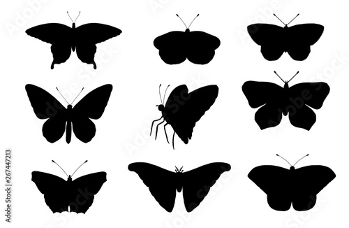 Vector set of butterflies. Hand drawn black silhouettes of atlas moth, weevil, butterfly, goliath, Hercules beetle, Spanish fly. Set of tropic bugs outlines