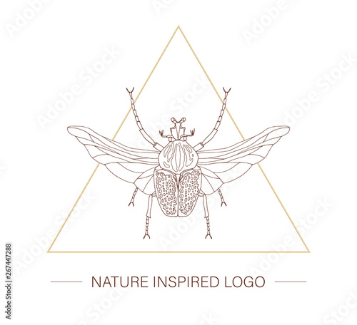 Vector hand drawn tropical goliath beetle with wings in a triangle. Insect themed logotype for natural