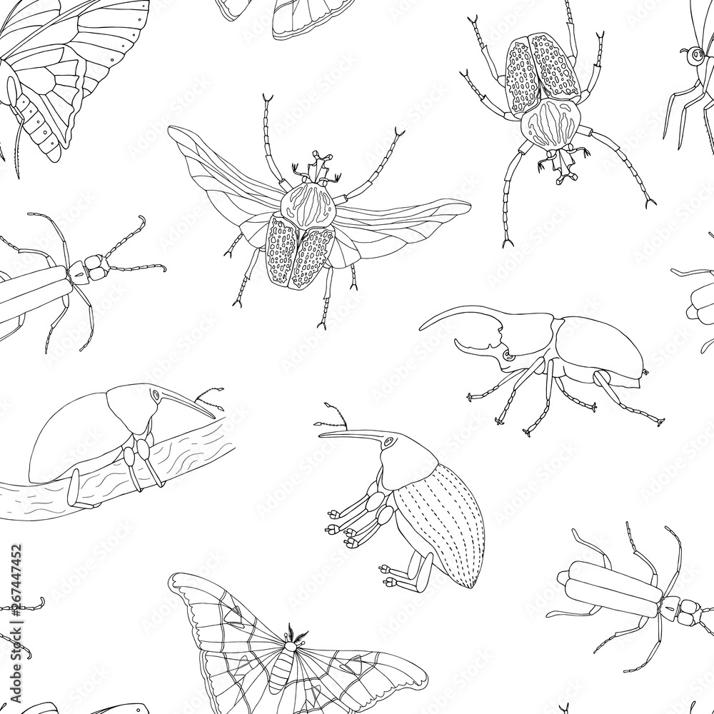 Obraz premium Vector seamless pattern of tropical insects. Repeat background of hand drawn outlines of atlas moth, weevil, butterfly, goliath, Hercules beetle, Spanish fly. Cute ornament of tropic bugs