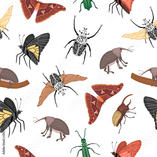 Vector seamless pattern of tropical insects. Repeat background of hand drawn colored atlas moth, weevil, butterfly, goliath, Hercules beetle, Spanish fly. Colorful cute ornament of tropic bugs. © Lexi Claus