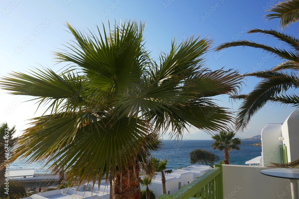 Fototapeta premium Eindrücke aus Mykonos - Griechenland