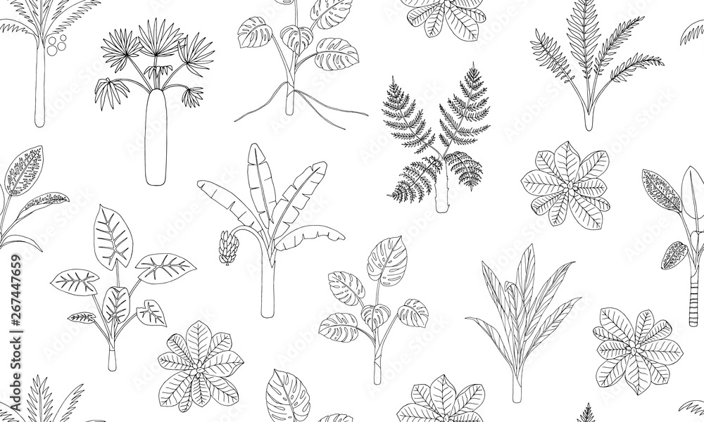 Vector seamless pattern of tropical plants. Repeat background of jungle foliage. Hand drawn palm tree, banana, monstera, dieffenbachia, Terminalia, fern, alocasia, cordyline. Home tropic wallpaper