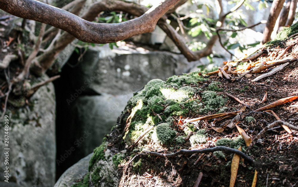 Obraz premium Hike to The Great Channels Slot Canyon in the Mountains of Virginia 