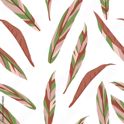 Vector seamless pattern of cordilline leaves on white background. Repeat tropical backdrop. Exotic jungle wallpaper. photo