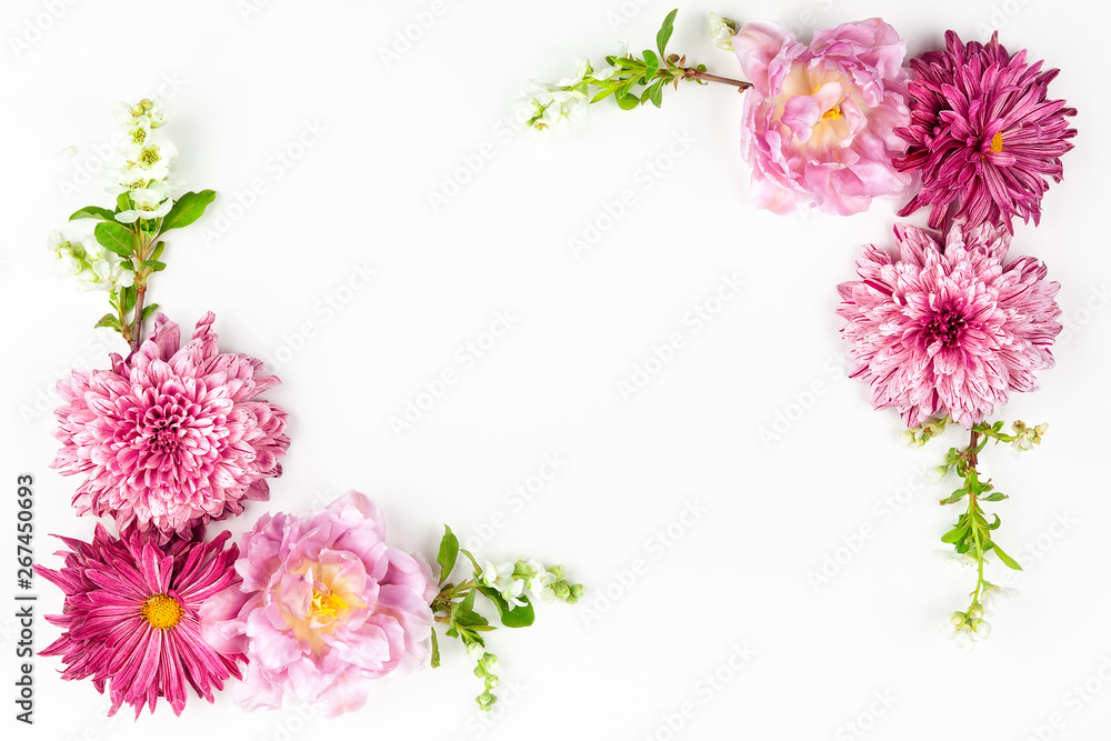 Beautiful pink flowers on white background.