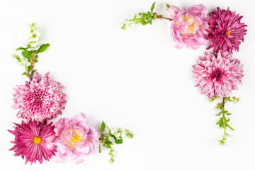 Beautiful pink flowers on white background.