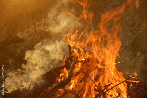 Φωτογραφία Fire