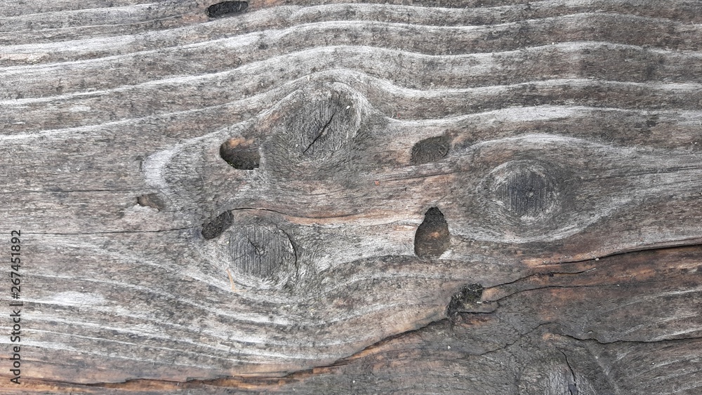 Obraz premium Old gray vintage wooden planks boards closeup for background.