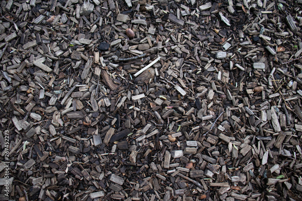Abstract background of small pieces of wood and various dry plants. Macro. Abstract background of small pieces of wood and various dry plants. Macro.