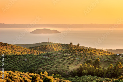 Hazy, golden hour view of olive plantation above the sea and distant turtle island in Greece