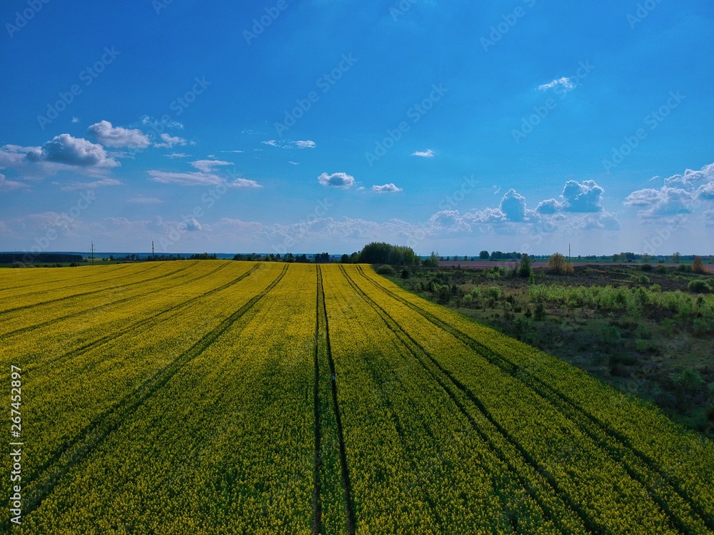 Aerial view of green field in Minsk Region of Belarus Aerial view of green field in Minsk Region of Belarus