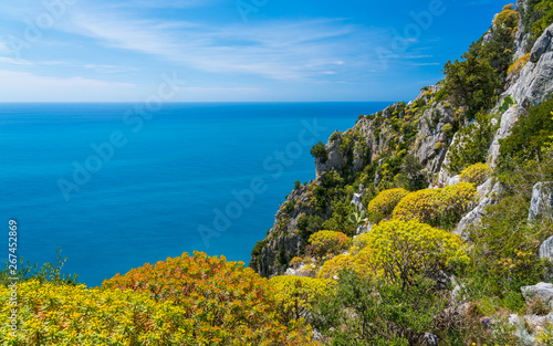 Fototapeta Naklejka Na Ścianę i Meble -  Scenic mediterranean seascape with cliffs at Palinuro, Cilento, Campania, southern Italy.