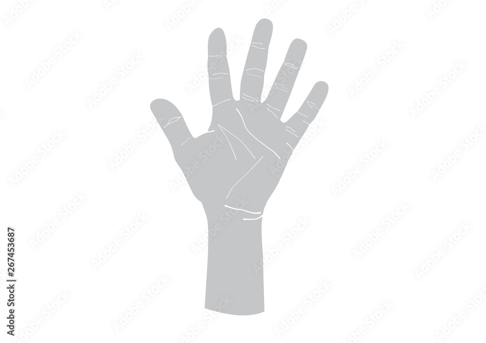 Vector hand drawn detail illustration of left hand palm isolated. Vector hand drawn detail illustration of left hand palm isolated.