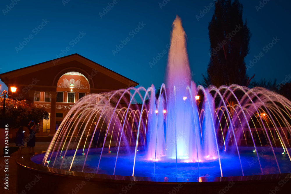 Fototapeta premium fountain at night