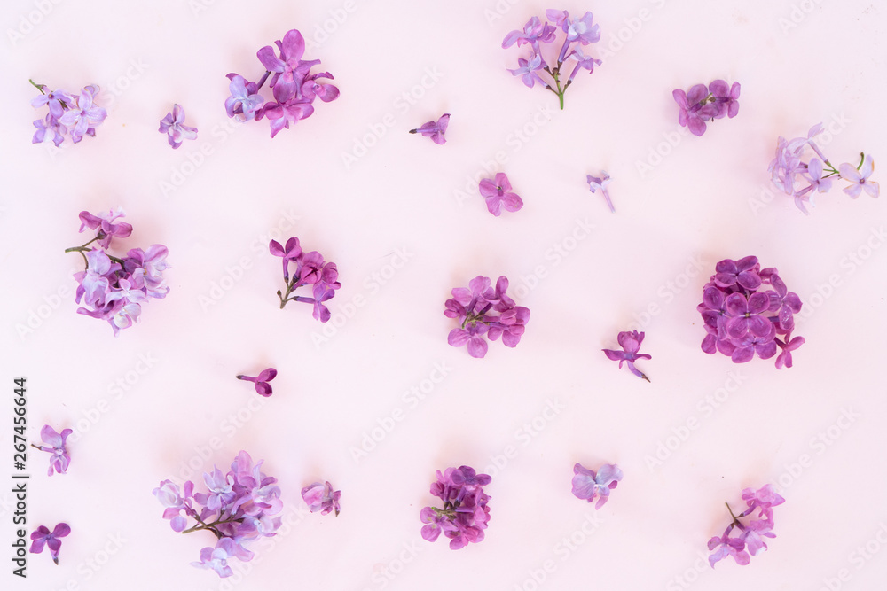 Fresh lilac flowers Fresh lilac flowers