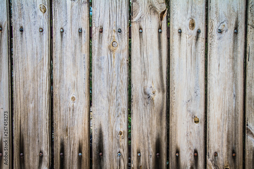 Wooden background - close up of wooden fence © teine