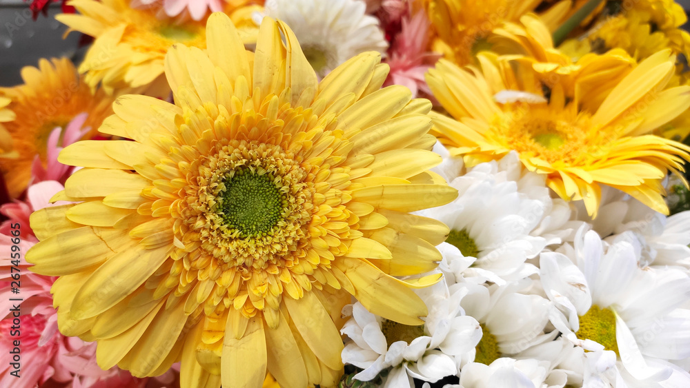 Beautiful flowers background for wedding scene Beautiful flowers background for wedding scene