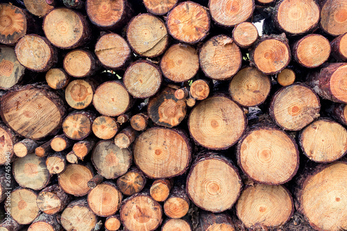 Pine wood stack