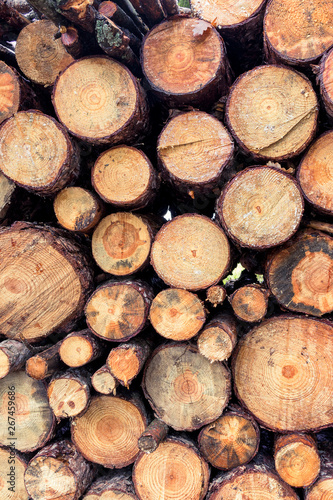 Pine wood stack