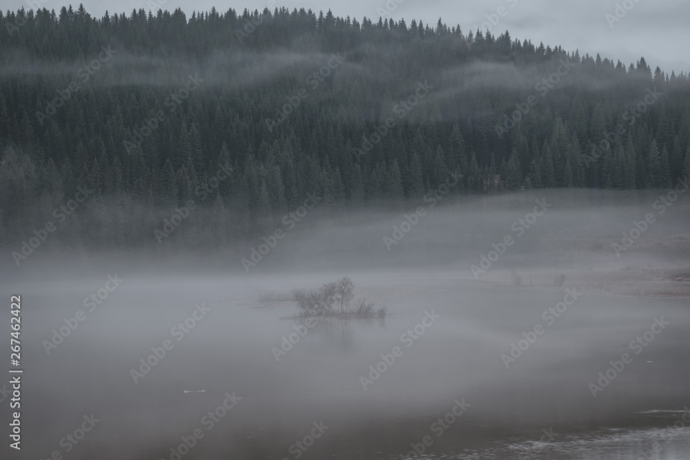 Misty Islet. Spring flood on the river Kus'ya. Perm region.