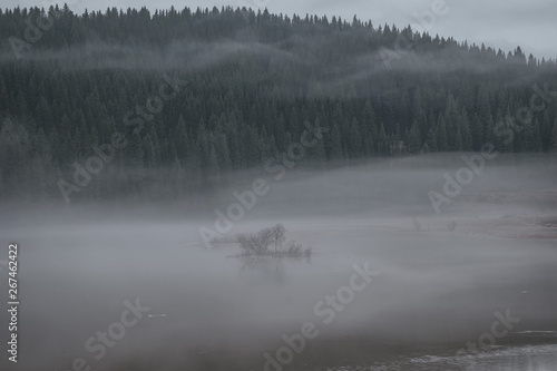 Misty Islet. Spring flood on the river Kus'ya. Perm region.