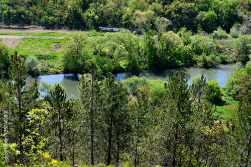 river landscape in the spring