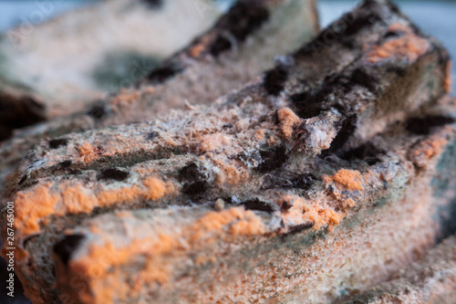 Mouldy (moldy) bread. Close-up.