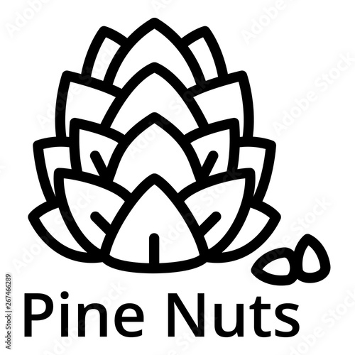 Pine nuts icon. Outline pine nuts vector icon for web design isolated on white background