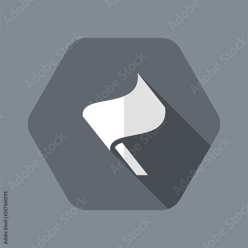 Flag concept - Vector flat minimal icon