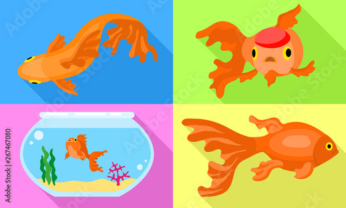 Goldfish icons set. Flat set of goldfish vector icons for web design
