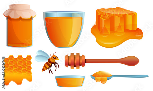 Honey icons set. Cartoon set of honey vector icons for web design