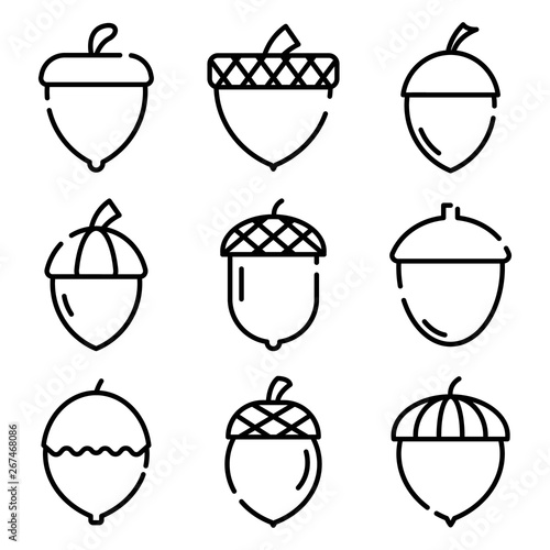 Acorn icons set. Outline set of acorn vector icons for web design isolated on white background photo