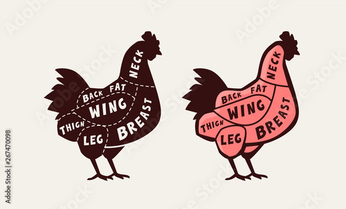 Cut of meat, chicken. Poster butcher diagram and scheme, vector illustration