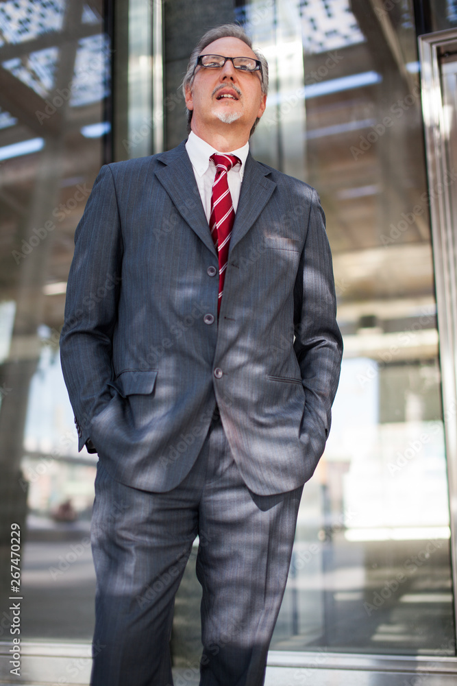 Smiling businessman Smiling businessman