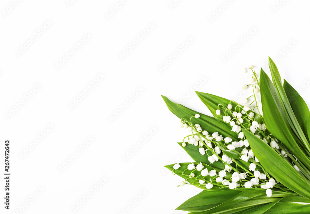 Beautiful bouquet of lilies of the valley isolated on white background. Top view with copy space. Flat lay Beautiful bouquet of lilies of the valley isolated on white background. Top view with copy space. Flat lay