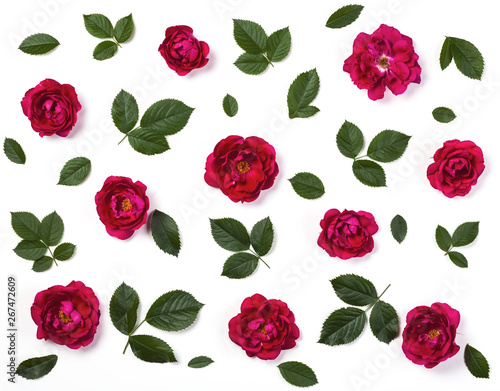 Floral pattern made of pink rose flowers and green leaves isolated on white background. Flat lay. Top view.