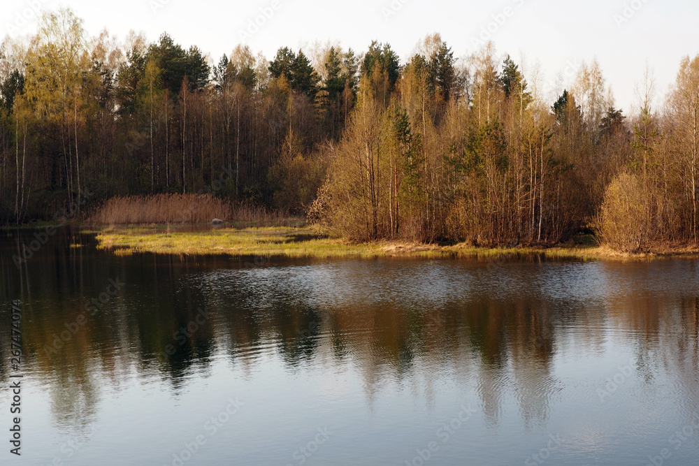 Fototapeta premium Landscape lakes and forests of Northern nature. Wild nature on a Sunny day.