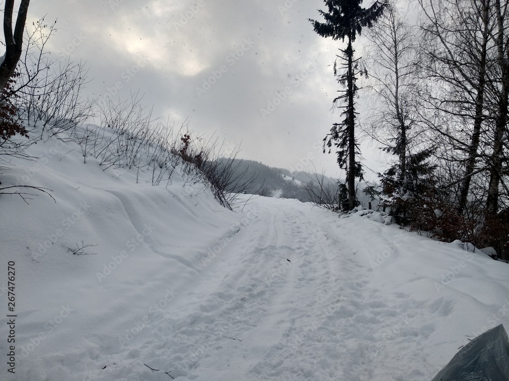 Paisaje de invierno con montañas y árboles, casas pueblo rural nieve en Rumanía Transilvania Paisaje de invierno con montañas y árboles, casas pueblo rural nieve en Rumanía Transilvania