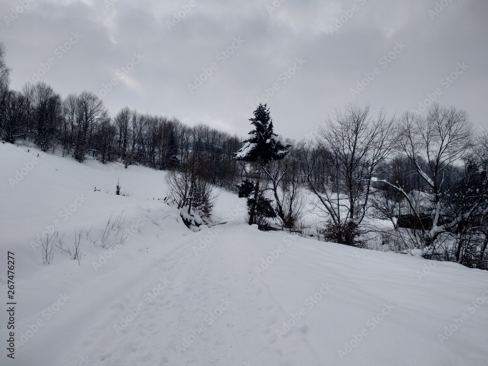 Paisaje de invierno con montañas y árboles, casas pueblo rural nieve en Rumanía Transilvania