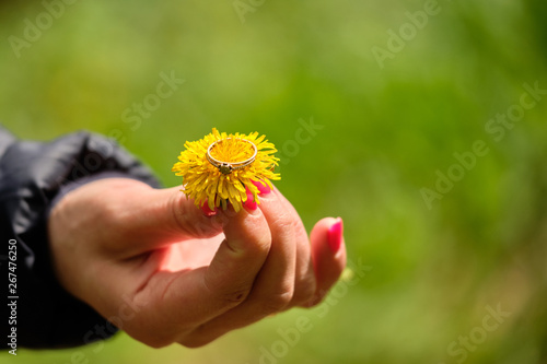 Golden ring on a dandelion in the girls hand