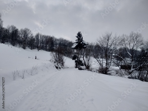 Paisaje de invierno con montañas y árboles, casas pueblo rural nieve en Rumanía Transilvania © nykaly