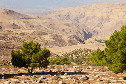 Panorámica del valle del río Jordan. Monte Nebo. Tierra Santa. Jordania, Oriente Medio photo