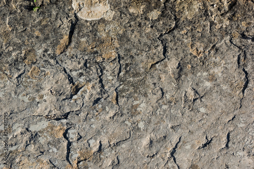 Rough, textured rock surface.