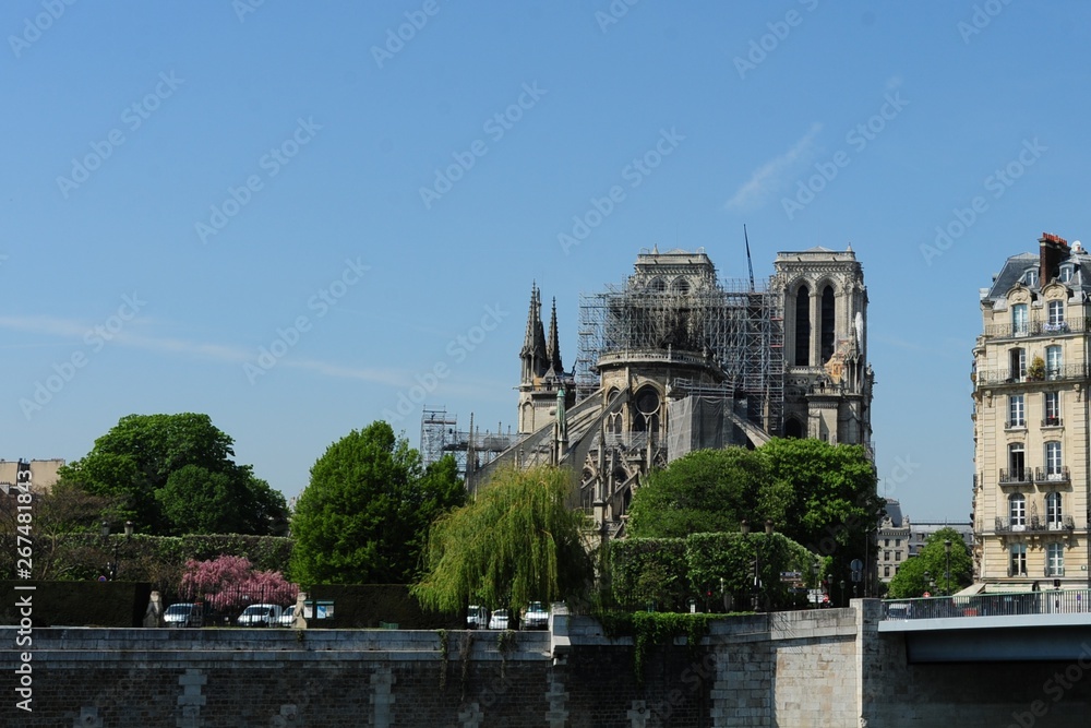 Obraz premium notre Dame de Paris